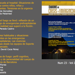 Desde la biblioteca: lo que el fuego se llevó